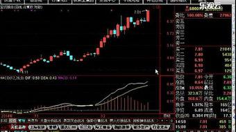 陈辉macd视频,掌握交易精髓