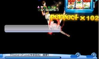 炫舞传统视频,探寻民族风韵与现代舞步的完美融合