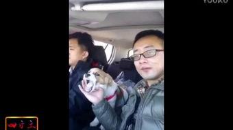 恶心的狗男女视频,道德沦丧引发社会热议