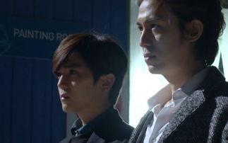 虐阳视频,探寻网络暴力背后的黑暗面