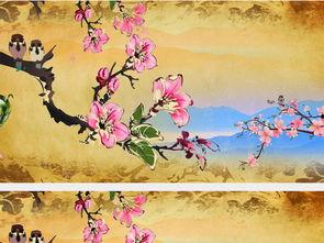 金缕衣视频,穿越千年，探寻古代服饰之美