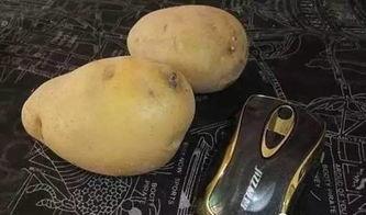 土豆发电视频,揭秘土豆的多样魅力与烹饪技巧