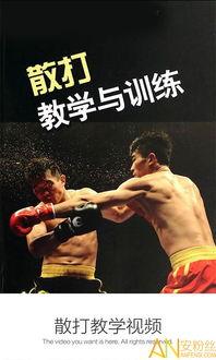 散打教学视频,实战技巧与训练方法全揭秘
