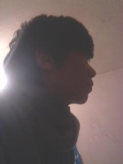 男日狗的视频直播,揭秘狗狗日常趣事，带你领略萌宠魅力