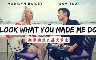 友基zz视频,探索科技与生活的完美融合